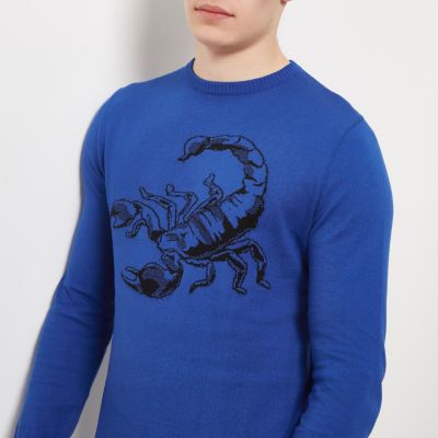Blue scorpion jumper